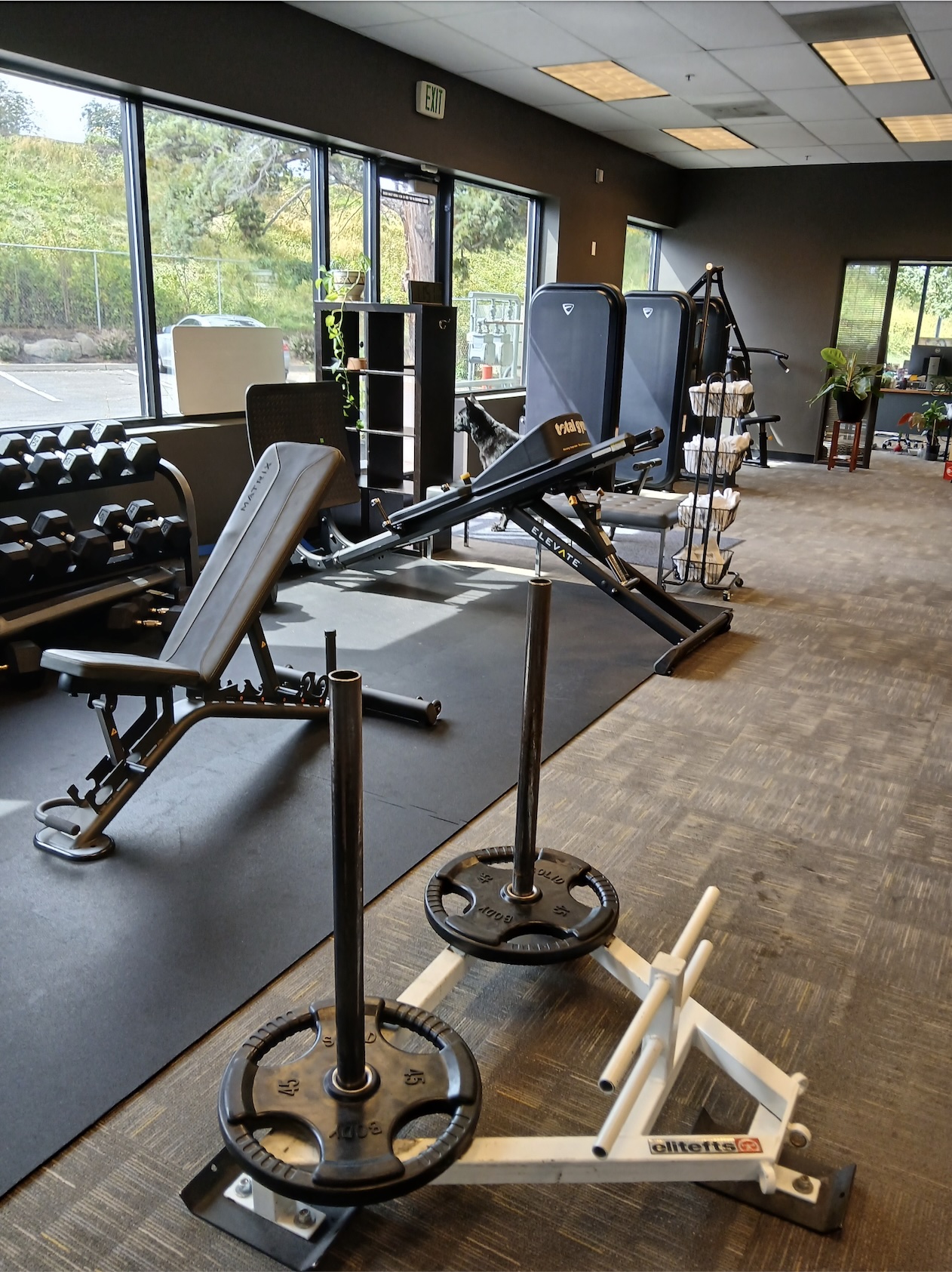 360 Strength Gym and Fitness Equipment Photos